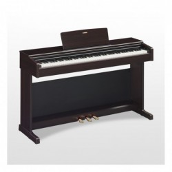 PIANO NUMERIQUE ARIUS