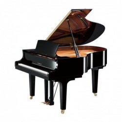 PIANO A QUEUE
