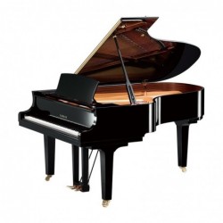 PIANO A QUEUE