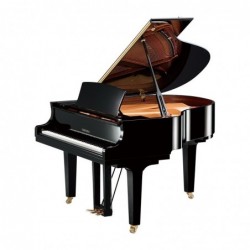 PIANO A QUEUE