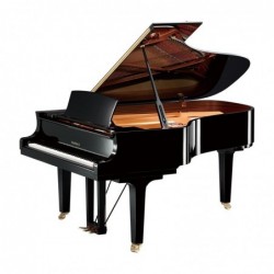PIANO A QUEUE