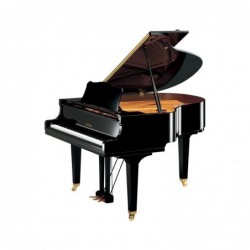PIANO A QUEUE