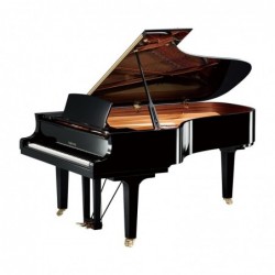 PIANO A QUEUE