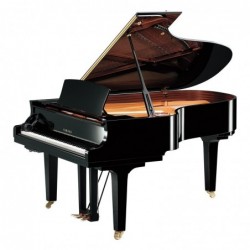 PIANO A QUEUE SILENT SH2