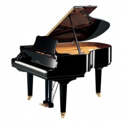 PIANO A QUEUE SILENT SH2