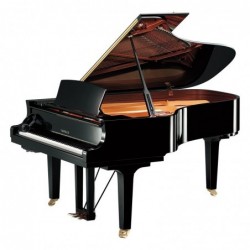 PIANO A QUEUE SILENT SH2