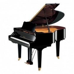 PIANO A QUEUE SILENT SH2