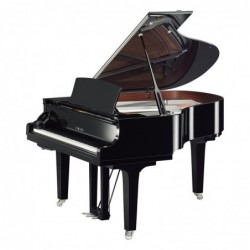 PIANO A QUEUE SILENT SH2