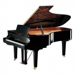 PIANO A QUEUE SILENT SH2