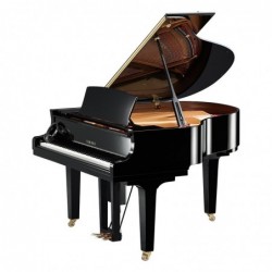 PIANO DISKLAVIER SILENT/QUEUE