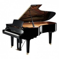PIANO DISKLAVIER A QUEUE