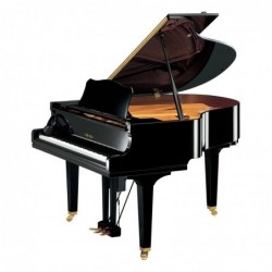 PIANO DISKLAVIER SILENT/QUEUE