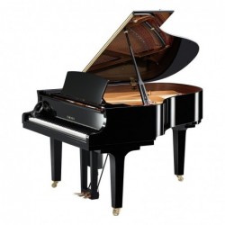 PIANO DISKLAVIER SILENT/QUEUE