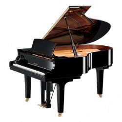 PIANO DISKLAVIER SILENT/QUEUE