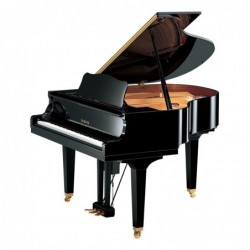 PIANO DISKLAVIER SILENT/QUEUE