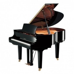 PIANO A QUEUE SILENT TA2