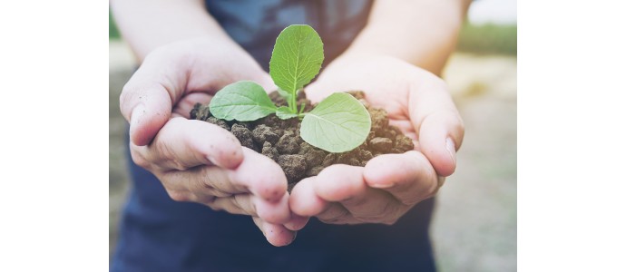 L'art de faire pousser ses plantes en musique