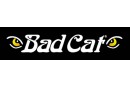 Bad Cat